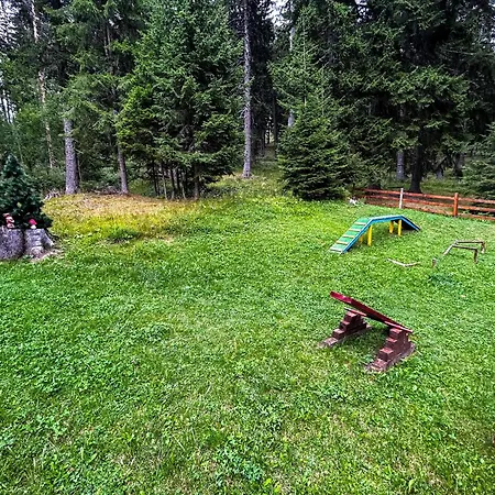 Raikovski Пампорово